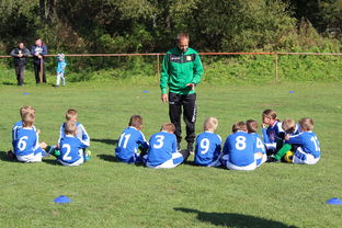 米兰app-中国足球主题比赛战术解析,足球比赛体系与战术打法 第4张 米兰app-中国足球主题比赛战术解析,足球比赛体系与战术打法 第4张