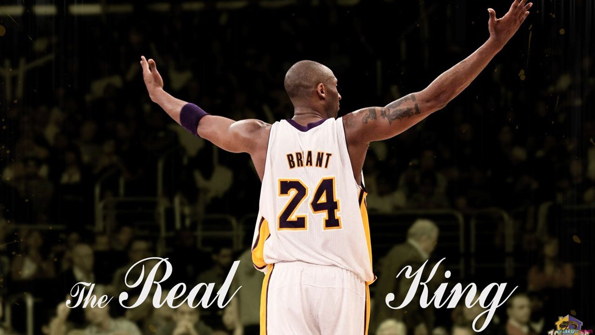 体育联赛商业合作扩大